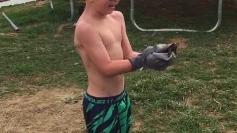 A Little Boy Doesn't Understand How To Hold A Turtle