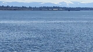 Ocean View From White Rock