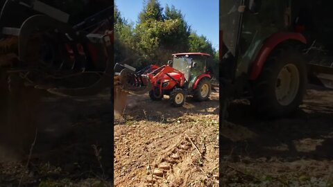 DAY 2 of current land clearing project #shorts clearing building site in the woods