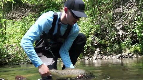 Catching GIANT Brown Trout in a Small Creek! -39