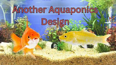Aquaponics: Designing a Second System