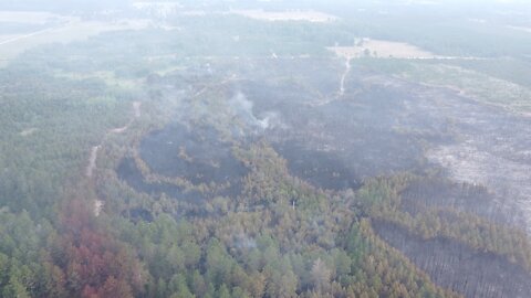 Minnesota Wild Fire