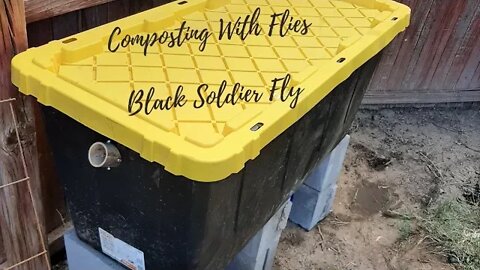 Composting with Flies