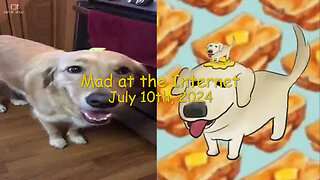 Butterdog (July 9th, 2024) - Mad at the Internet