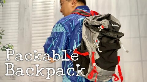 Foldable Travel Daypack Backpack for Hiking by Delswin Review