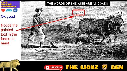 📖 "THE WORDS OF THE WISE ARE AS GOADS FASTENED BY ONE SHEPHERD" #israelites #truth #education #ww3