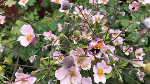 love of nature / natural beauty / flowers / natural background / #nature #natural #flowers