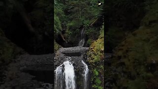 Relaxation short videos with Beauty of nature | #short #Nature | NAP VIBEZ 65