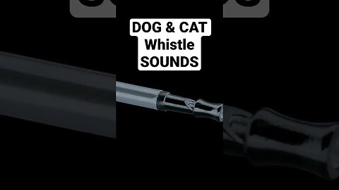 DOG Whistle Sound #shorts #viral #dogandcat #dogwhistle
