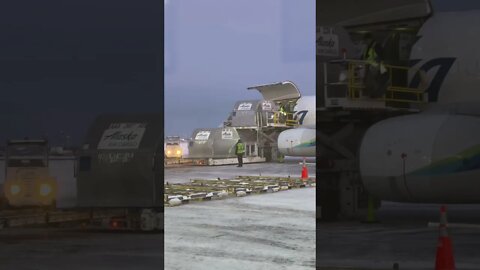 Alaska airlines unloading a cargo plane in 0f degree weather