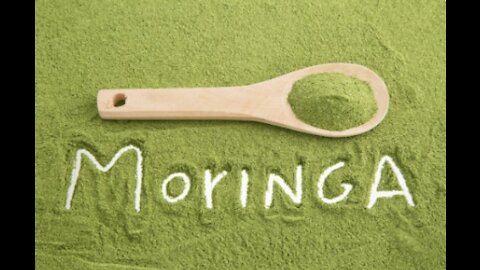 One of most nutrient dense food on the planet, it is called moringa