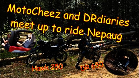 [E27] Suzuki DR650 VS Hawk 250 offroad. We take a ride to Nepaug! Dirtbike dualsports