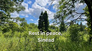A Farewell to Sinéad O'Connor in the Peace of Nature