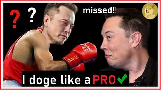 What Can Elon Musk Teach a Boxer??