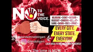 say no to the voice