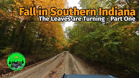 Fall in Southern Indiana: The Leaves are Turning - Part One