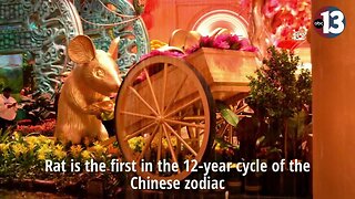 Chinese New Year display at Bellagio