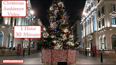 1 Hour 30 Minutes of Seasonal Splendor | Festive Tree Whispers