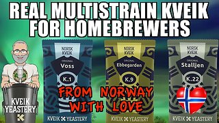 Real Multistrain Kveik From Norway For HomeBrewers