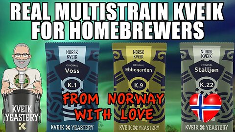 Real Multistrain Kveik From Norway For HomeBrewers