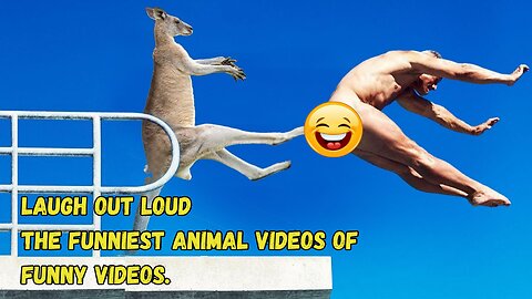 Laugh Out Loud! The Funniest Animal Videos of / Funny Videos.