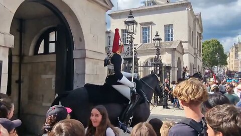 kings guard on horse back shouts make way twice at tourist #horseguardsparade