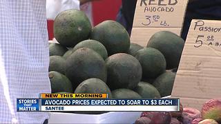 Avocado prices could triple by Labor Day