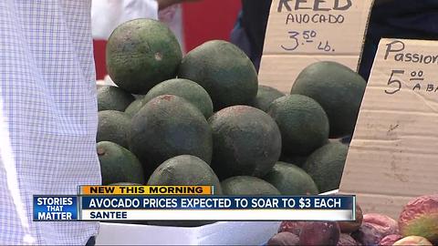 Avocado prices could triple by Labor Day