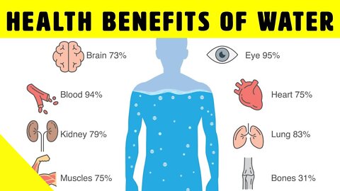 Why You NEED To Drink More Water: Health Benefits