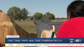 One Tank Trips: Walters' Pumpkin Patch