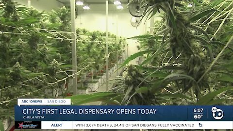 Chula Vista's first legal dispensary opening its doors