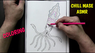 ASMR Coloring Animals - Squid