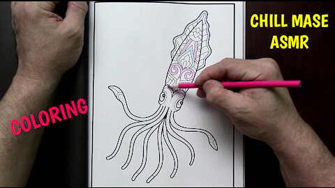 ASMR Coloring Animals - Squid