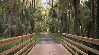 Flatwoods Park home to tons of Florida's wildlife