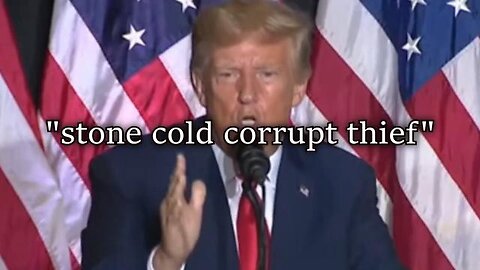 Stone Cold Corrupt Thief - Donald Trump is Stupid