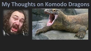 My Thoughts on Komodo Dragons