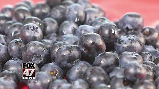 Blueberries may help treat cancer