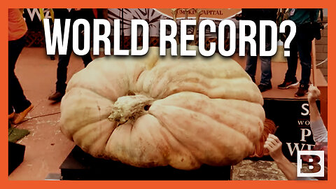 A WORLD RECORD? -- 2,749lb Pumpkin Claimed to Be World's Largest Ever Recorded