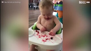 La réaction d'un bébé face à des fruits rouges surgelés