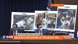 Tipping Point - Democrats Are Barking up the Wrong Tree