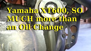 Yamaha XT600 SO MUCH more than an Oil Change