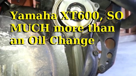 Yamaha XT600 SO MUCH more than an Oil Change