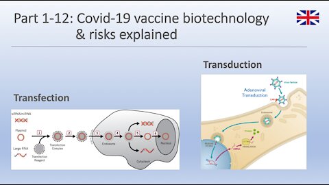 Part 1-12 Covid-19 vaccine biotechnology & risks explained