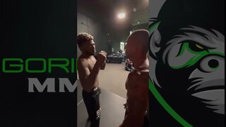Raoni Barcelos vs Trevin Jones: UFC Vegas 61 Face-off