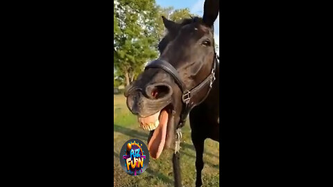 Funny horse singing opera song