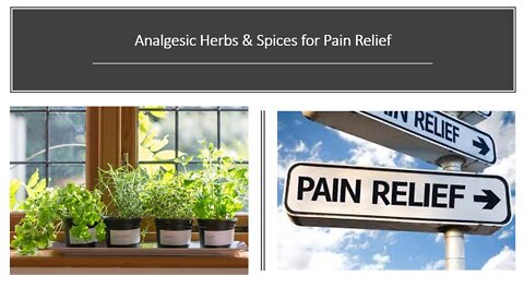 Analgesics - Herbal Pain Killers