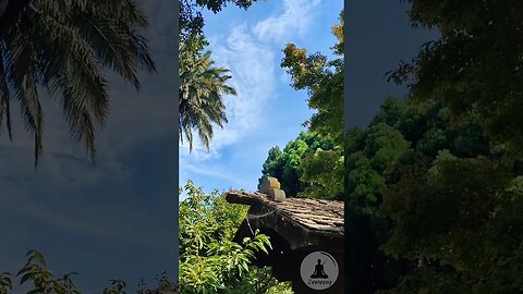 Calming Nature Video: Deep Blue Sky, Swirly Clouds, Rustic Rooftop, Trees, Birdsong & Piano Music