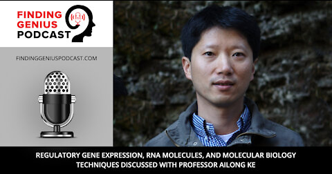 Regulatory Gene Expression, RNA Molecules, and Molecular Biology Techniques