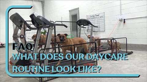 FAQ: What Does Our Daycare Routine Look Like? Watch And Find Out! Every Hour On The Hour Rotations