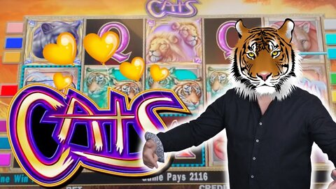 HIGH LIMIT Slots! The Kittys LOVE Mr. Hand Pay! Awesome Win! #CATS